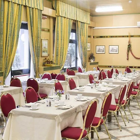 Falco D'oro By Falco D'oro 토얼