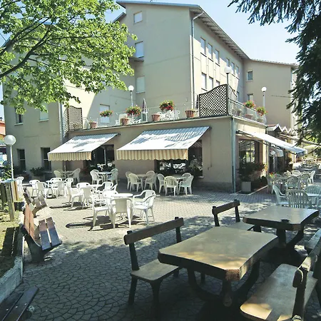 Falco D'oro By Falco D'oro 토얼