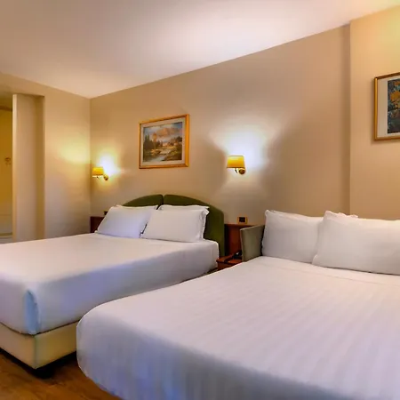 Falco D'oro By Falco D'oro 4* Tole